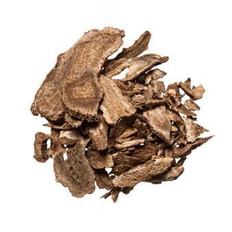 فوائد شرب القسط الهندي مع الماء